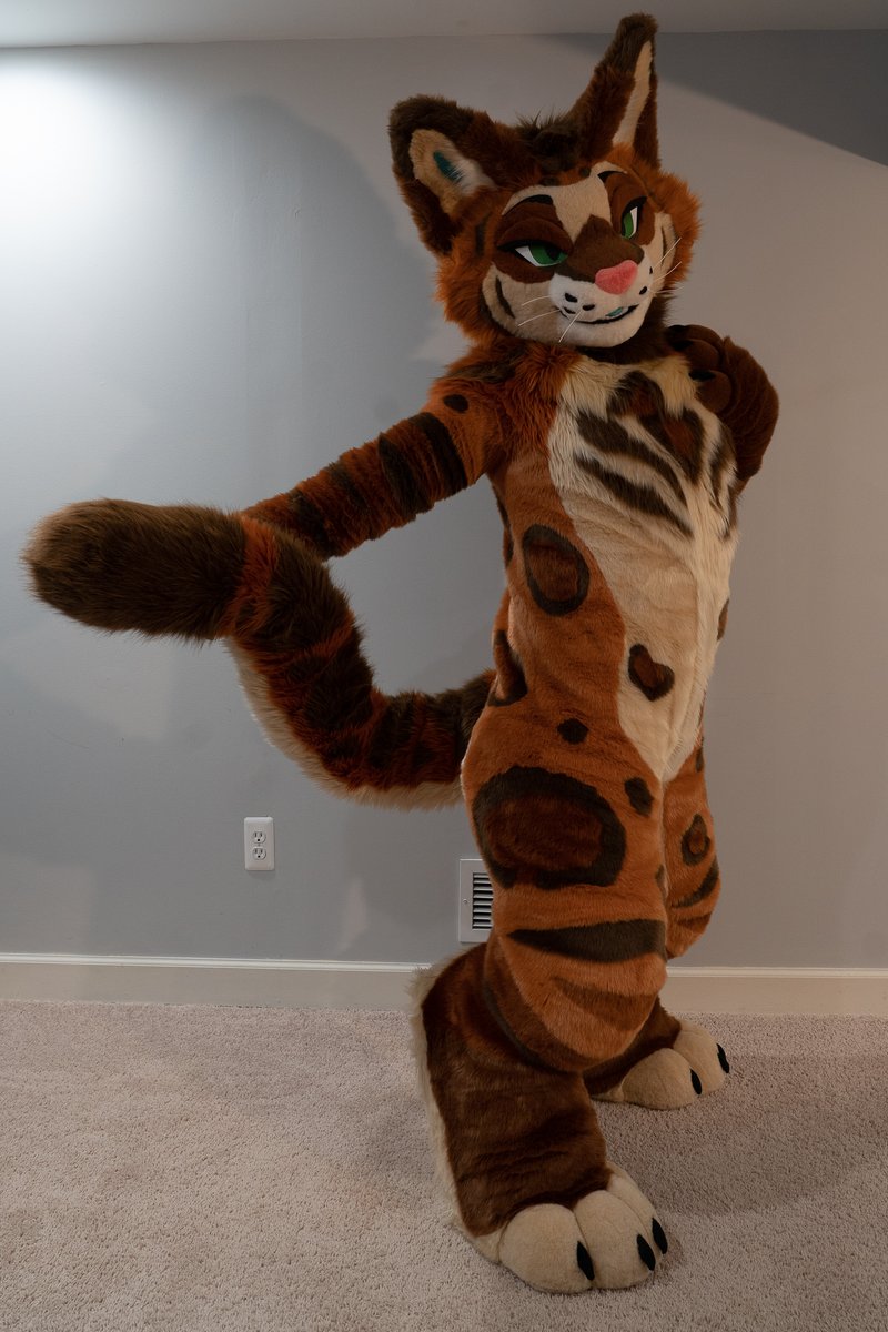 HEY, SO WHO'S THIS COOL CAT? Can't thank @Waverlyfloof enough for the simply AMAZING work on the body suit. Super nice and great to work with ❤️ Now if you'll excuse me, I have a nice warm nap lined up. I promise more pictures to come!