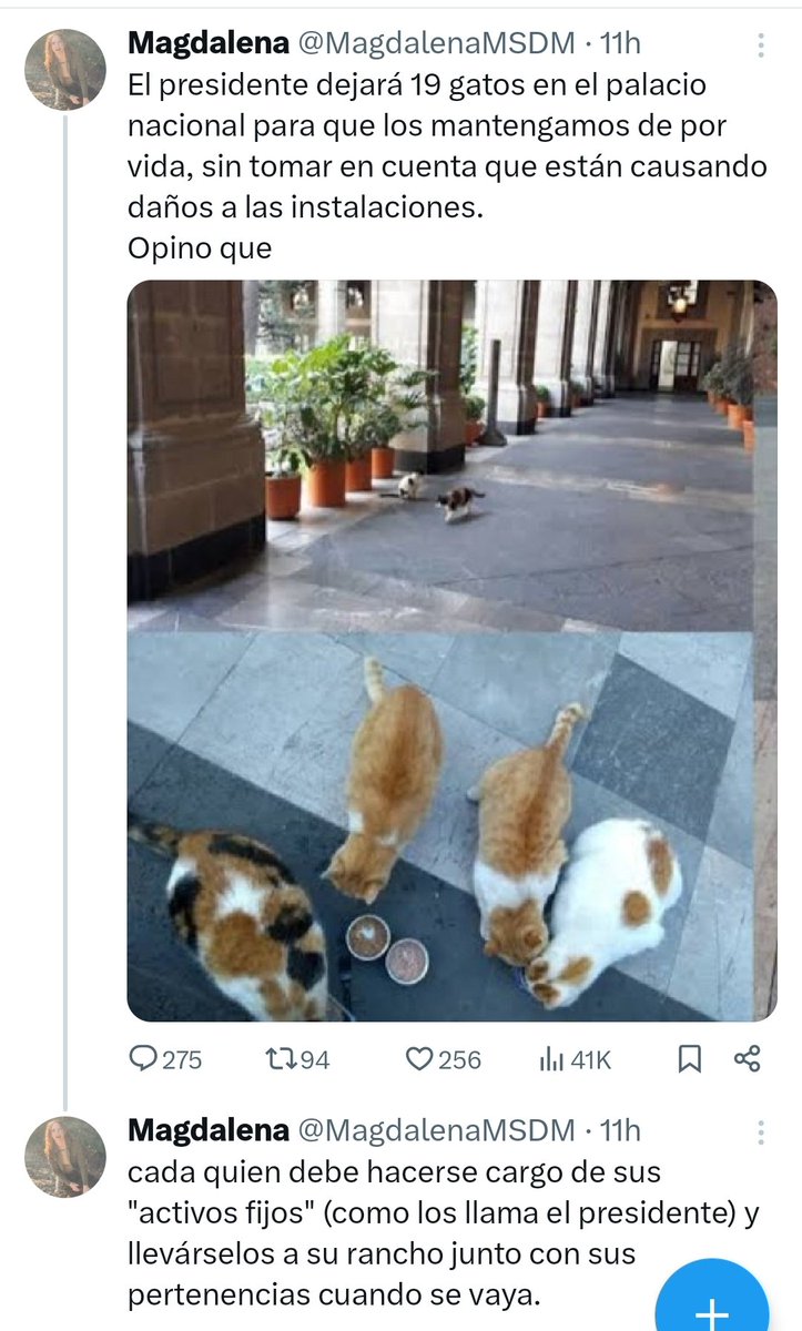Cómo ven a esta tipa @MagdalenaMSDM que se opone a que sean cuidados y protegidos los gatos de palacio nacional? Por si lo borra anexo imagen.