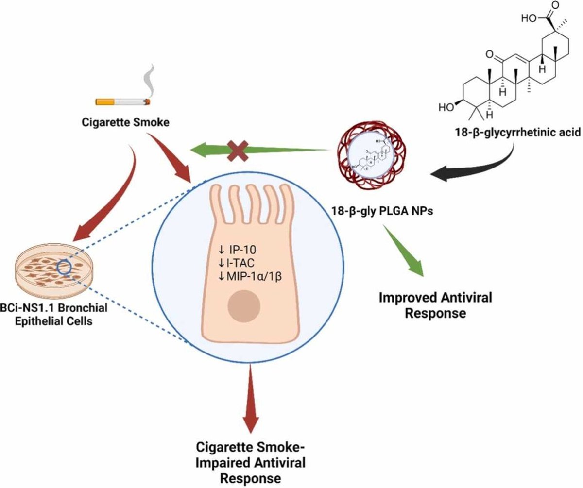 18-β-glycyrrhetinic acid nanoparticles attenuate cigarette smoke-induced markers of impaired antiviral response
<a href="/DrKeshavRajPau1/">Keshav Raj Paudel</a>
<a href="/DrStewartYeung/">Stewart Yeung</a>
<a href="/5id95/">Siddiq Mohamad</a>
<a href="/SachinK00306908/">Sachin Kumar Singh</a>
<a href="/gauravpharma25/">Gaurav Gupta</a>
<a href="/Dinesh_Kumar78/">Dinesh Kumar Chellappan, PhD</a> <a href="/Kam_Dua/">Kamal Dua</a> 
<a href="/UTS_GSH/">UTS Graduate School of Health</a>
<a href="/UTS_Health/">UTS Health</a>
<a href="/UTSARCCIM/">ARCCIM</a>
sciencedirect.com/science/articl…