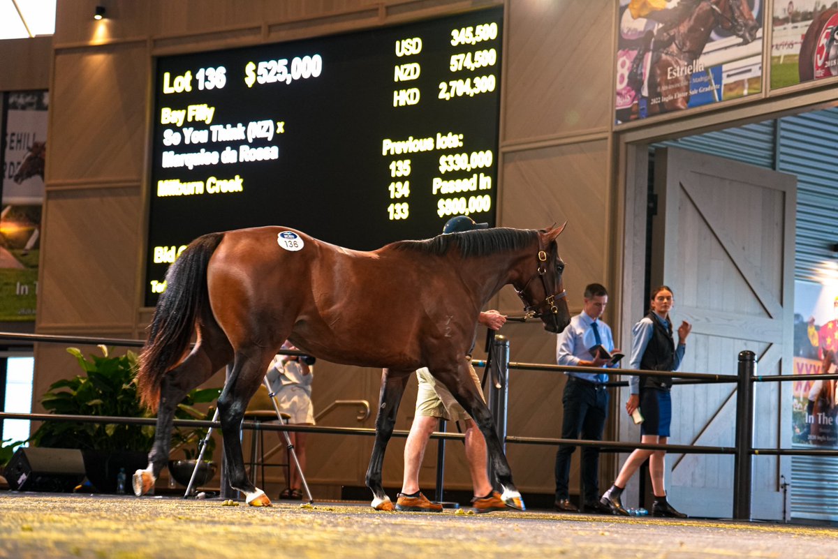 Milburn Creek Stud (@milburn_creek) on Twitter photo Instant update for our So You Think x Marquise da Rossa filly we sold a few days back <a href="/inglis_sales/">Inglis</a> Easter with her 3yo half-bro Enticelle, a son of <a href="/YulongInvest/">Yulong Investments</a>'s Grunt, breaking his maiden today for <a href="/FreedmanRacing/">Anthony Freedman Racing</a> at just his second start. Congrats Dean Hawthorne Bloodstock! Instant update for our So You Think x Marquise da Rossa filly we sold a few days back <a href="/inglis_sales/">Inglis</a> Easter with her 3yo half-bro Enticelle, a son of <a href="/YulongInvest/">Yulong Investments</a>'s Grunt, breaking his maiden today for <a href="/FreedmanRacing/">Anthony Freedman Racing</a> at just his second start. Congrats Dean Hawthorne Bloodstock!