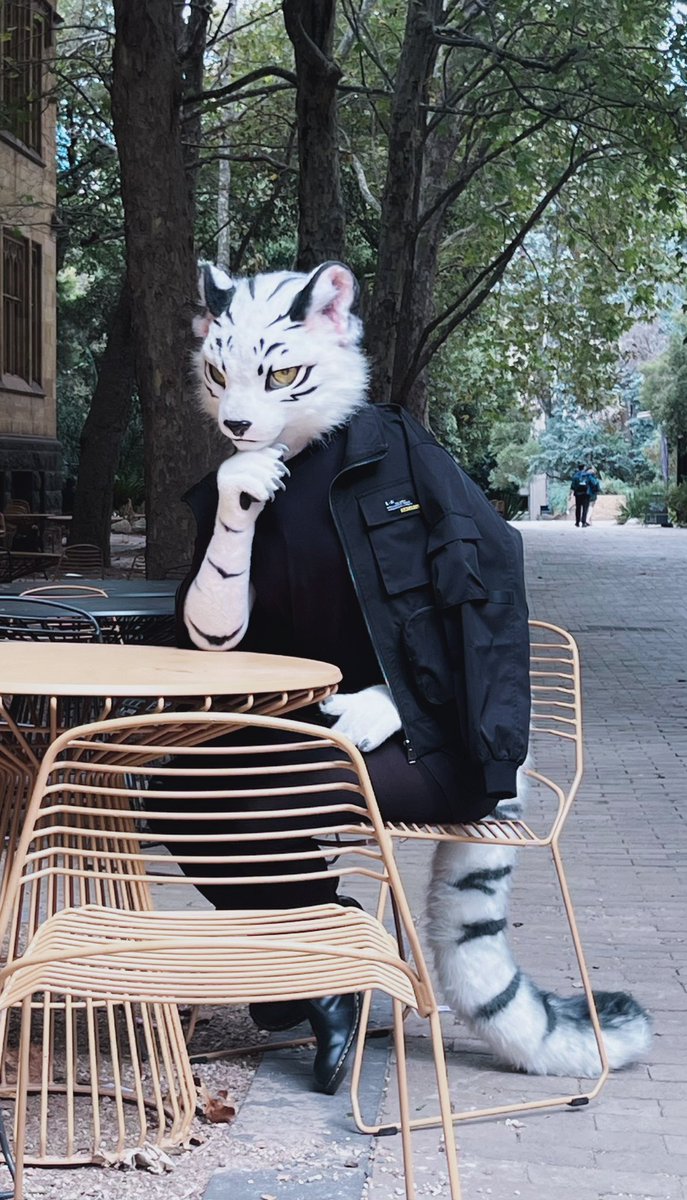 前几天和<a href="/yuze68553750/">雨泽Yuze</a> 还有<a href="/LambPolar/">polar_lamb</a> 去拍片辽，偷偷跑一张🤣

#FursuitsEveryday #Fursuit #furry