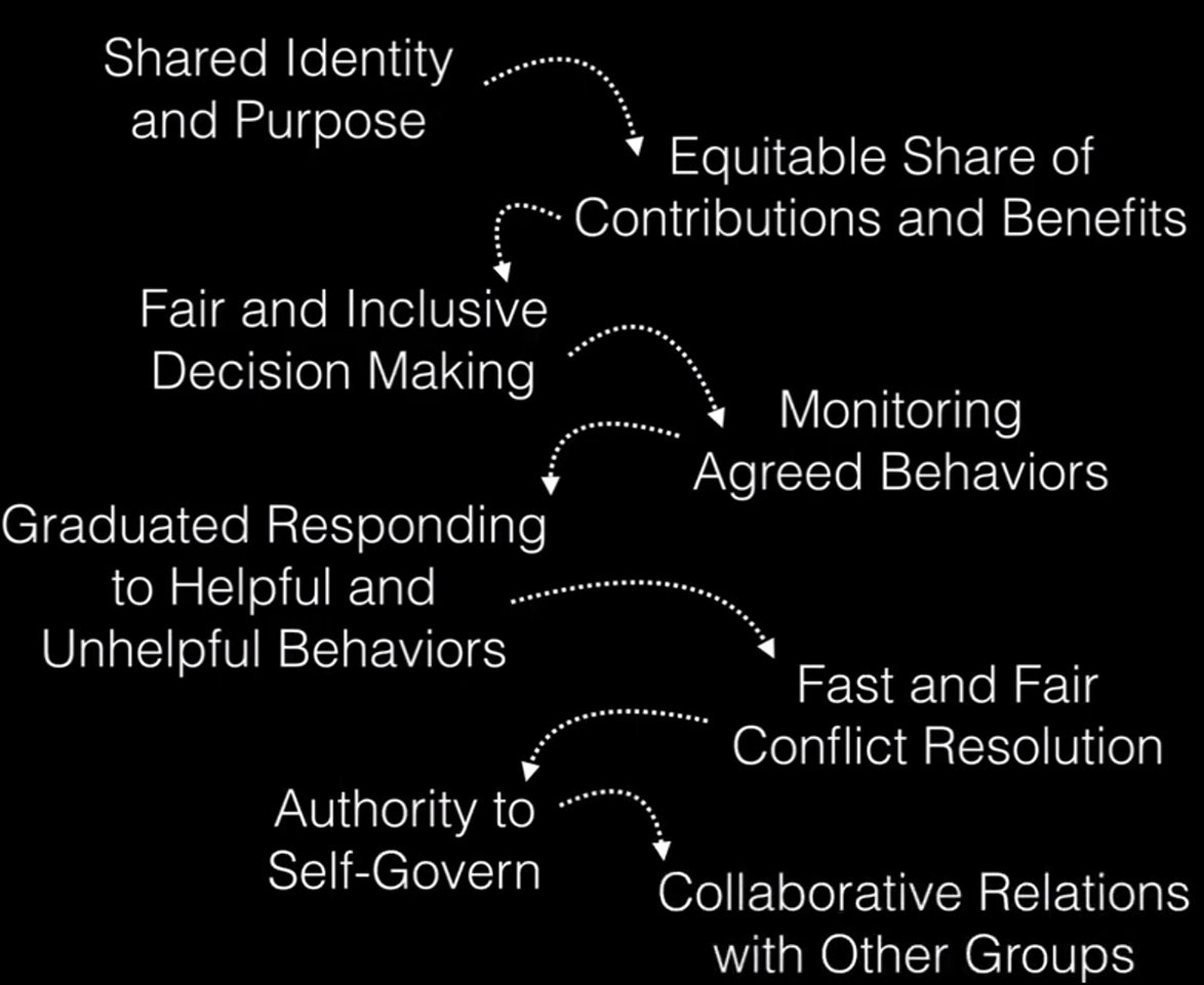 If we could only link #sharing, #equity, #inclusion, and #selfgovernance into one #collaborative system.....        #solarpunk       #revolution