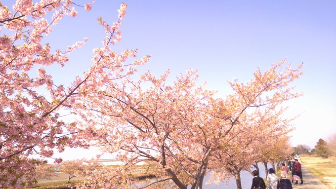 「桜 スカート」のTwitter画像/イラスト(新着)｜5ページ目