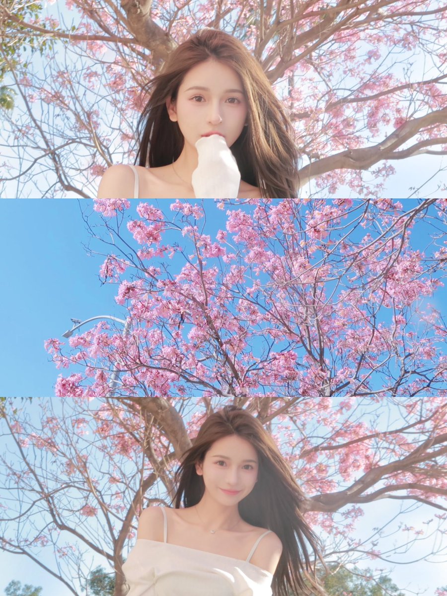 没行情的日子就出门拍拍照噜🧚🏻‍♀️
洛杉矶也有樱花了。
#btc