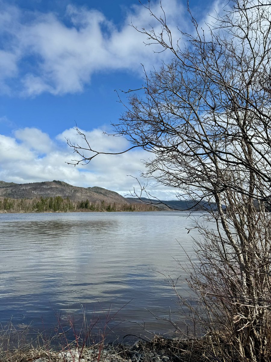 Spring things: Gentle breeze. Bare trees. Limitless skies. Ripples on a lake. Happy Wednesday.
Humber River, March 2024 #NewfoundlandandLabrador #explorenl #wednesdaythought