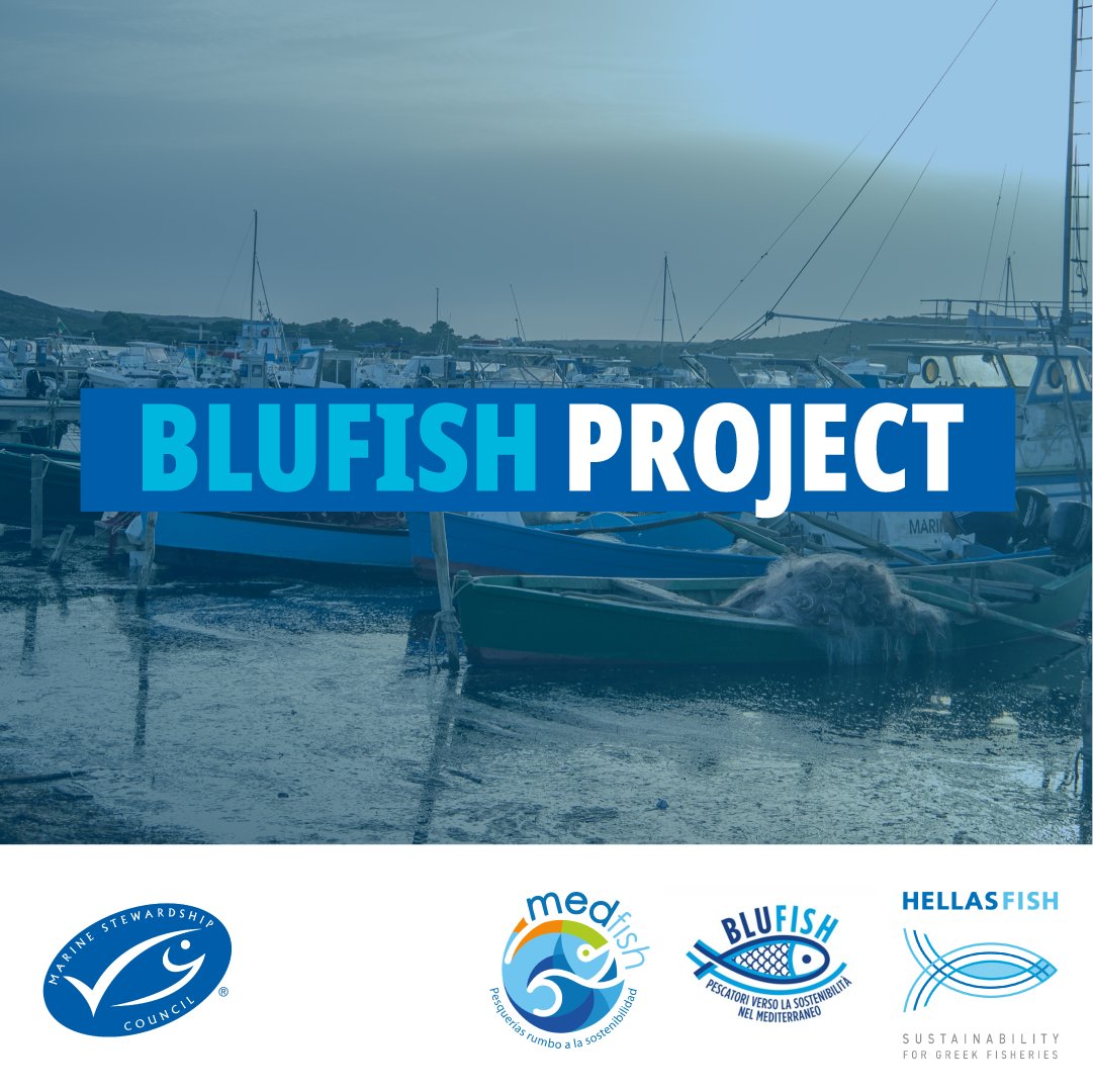 🎣 🎣 #MedPath ¿Sabías que #BluFish ha pre-evaluado 10 pesquerías clave en Italia desde 2019 hasta 2021? 🇮🇹🐟

Descubre todos los detalles en el Informe de Impactos de MedPath 
📰🔗 bit.ly/3TJzcVI

#MedFish #HellasFish #SelloAzul #PescaSostenible #MaresParaSiempre