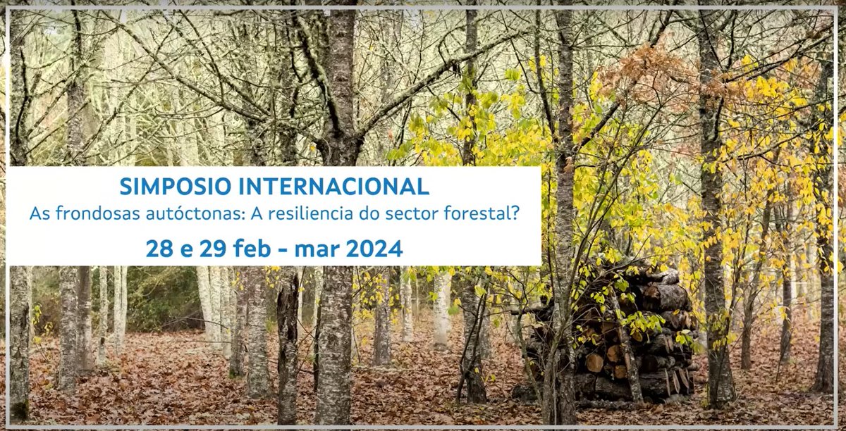 📺Watch the summary of the symposium ‘Native hardwoods, the #resilience of the forest sector?’ and check out the presentations of more than 30 speakers discussing the current situation of the broadleaves #forests in Europe and Galicia ▶ bit.ly/3VTZpn8 #Simposiofrondosas