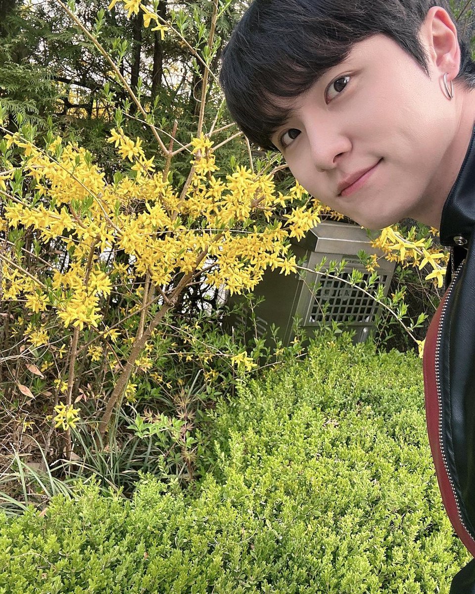 ✨️Actualización de Donghan en Instagram @don9_han

✨️Es primavera 🌸🌸

#위아이 #WEi
#김동한 #KIMDONGHAN