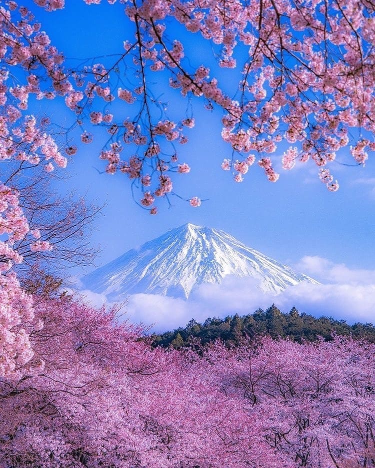 Mount Fuji, Japan