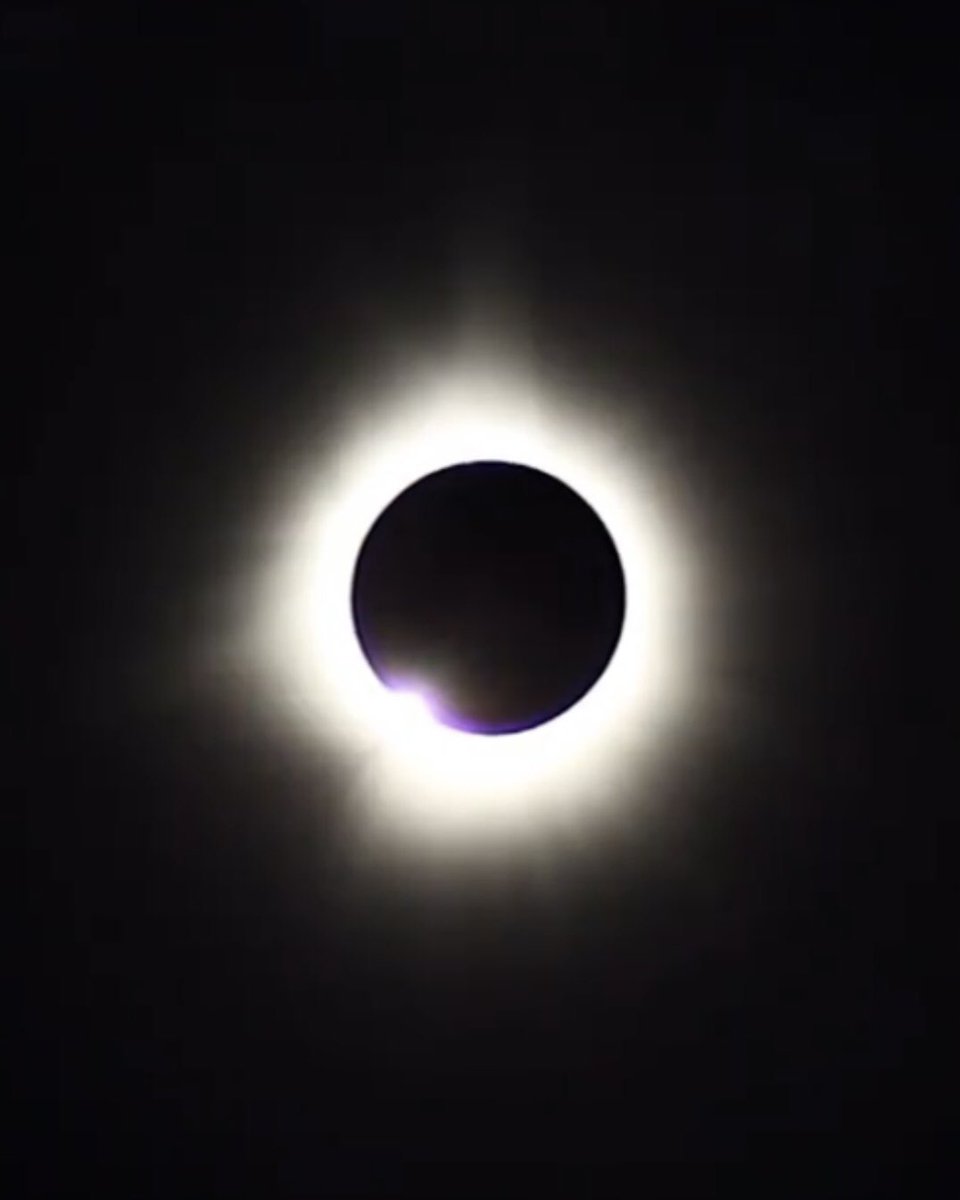 Chuck Wrathall tweet media