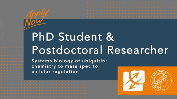 Excited by #ubiquitin & #proteomics? Openings for joint doctoral/postdoc positions at @labs_mann and the Schulman groups @MPI_Biochem. Employ cutting edge mass spectrometry to decode E3 ligase networks & signaling pathways in critical biological areas. Apply now! #ScienceCareers