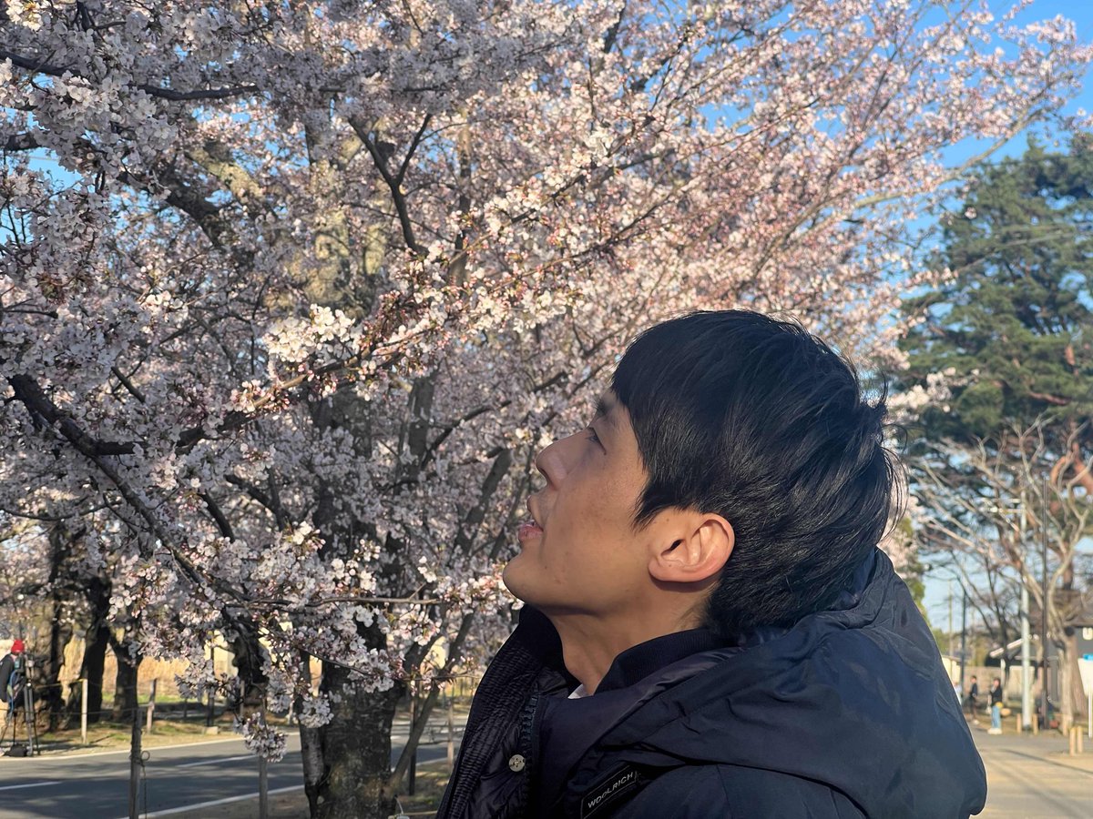 NHK World’s Inoue Yuki is at Tomioka Town in Fukushima Prefecture, famous for a street lined with sakura, to report on the cherries in full bloom. #sakuraNHKWorld #みんなでつくる桜前線