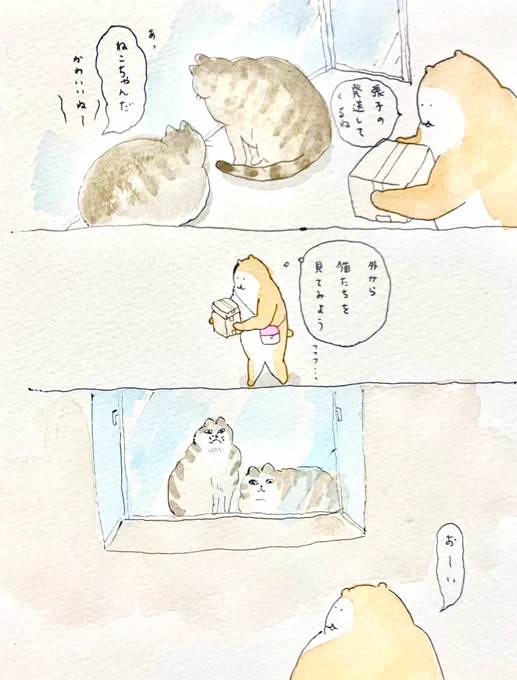 発送の際
外から猫たちを見てみました 