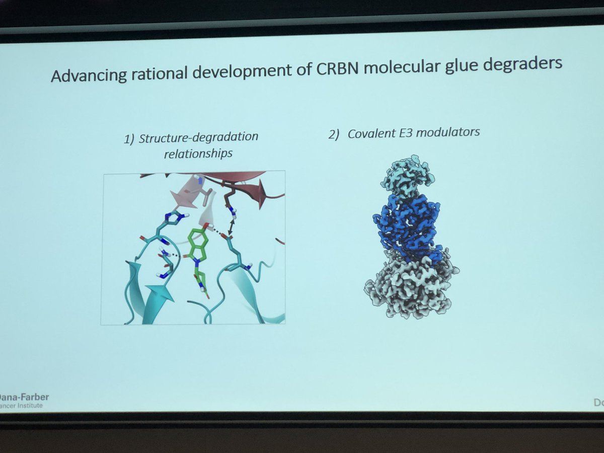Second talk of the session is given by @LynJonesChemBio (@DFCI_ChemBio), spanning Cereblon molecular glues and next-gen covalent drug discovery. #MedChemFrontiers24 @EuroMedChem @AcsMedi