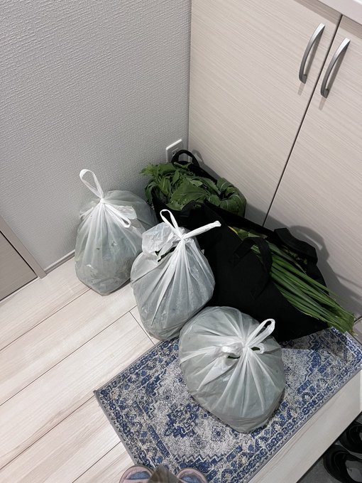 長雨の影響で、畑がとんでもない事になっていたwww 野菜沢山とってきたんだけど、買ってやるよー！て人、DM下さい✨ https://t.co/dx6gKGfgyw