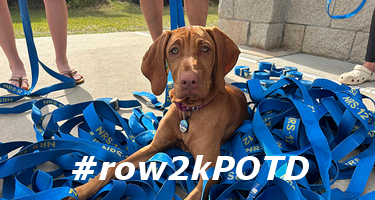 Strap Dog #row2kPOTD row2k.com/potd/4-10-2024…