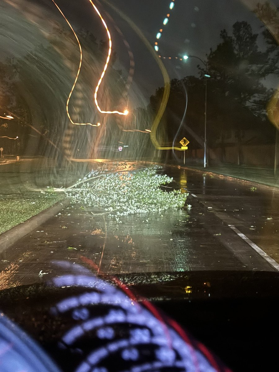 Stankowx's tweet photo. .@NWSHouston Trash Day and Severe Weather Remix. Decent Amount of Tree Debris, tossed trash cans and scattered large branches down in streets. Some Traffic lights still out East Katy/Green Trails https://t.co/2p6MRpaJDI