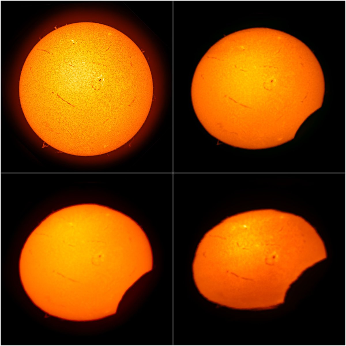 📸Observación del #eclipse del día 8 de abril desde el #ObservatoriodelTeide con un telescopio solar de 10 cm y filtro Ha. Vemos la “mordida”, del 1%, 4% y 8% del disco, así como su achatamiento por la refracción de la luz de la atmósfera terrestre. ©️D. López/A. Rosenberg/IAC
