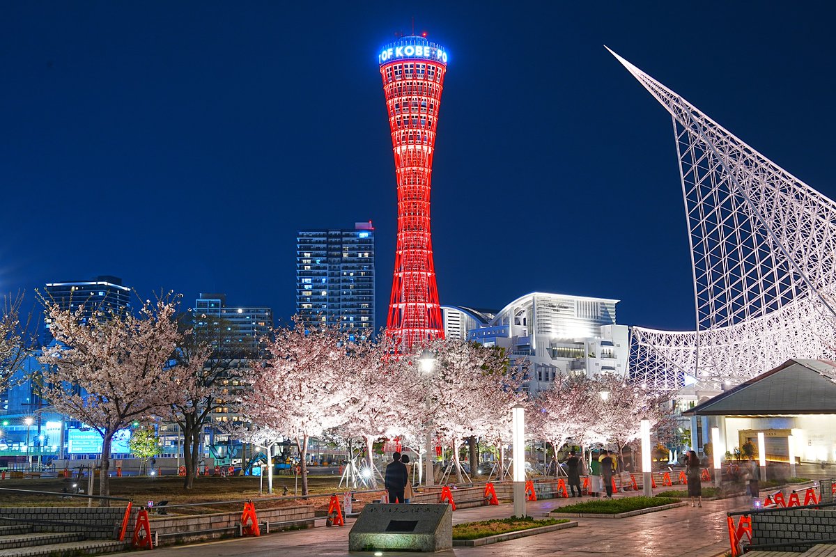 #神戸ポートタワー　#桜　#メリケンパーク
