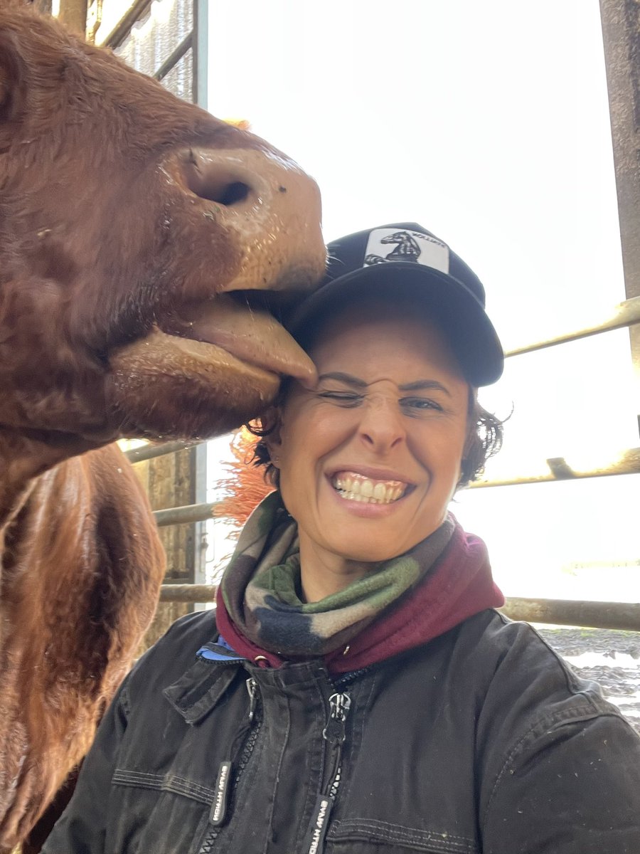 Etho_diversite's tweet photo. Avec ce temps 🌨️💨 la déprime nous gagne mais les animaux nous aident à garder le sourire 😃 Coup de langue râpeuse dans l’oeil, tirage de capuche…
l’AgriPositivAttitude !
#agriculture #agricultrice #agriculteur #commpositive #saletemps #meteo #auvergne #cantal #vaches #salers https://t.co/mNxwZ6be4D