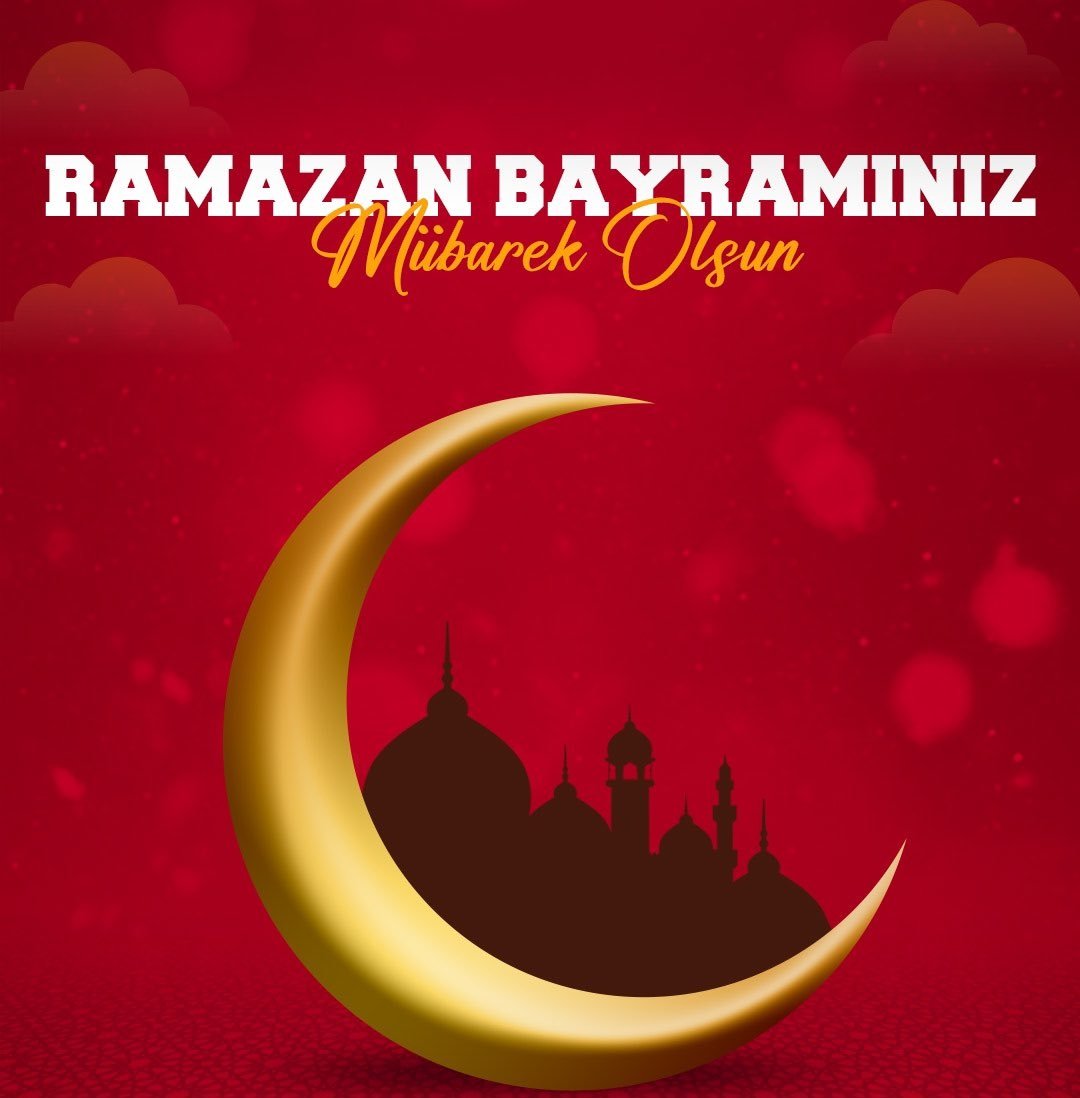 PITT74BULL tweet media