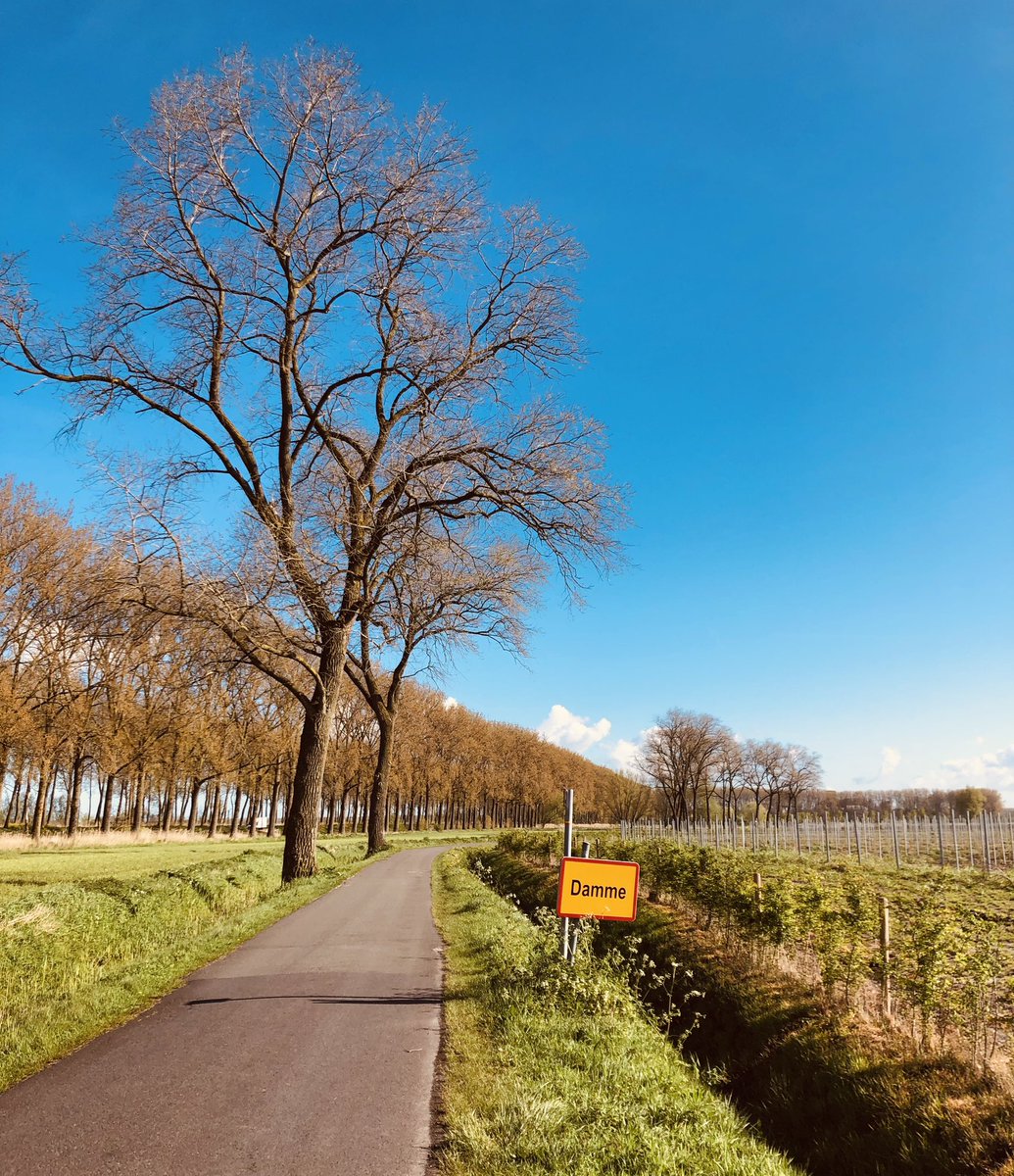 TDesmaele's tweet photo. Zo, een deugddoende 15km gelopen met de zon, doe alweer mijn witte benen mocht aaien. #ochtendloop https://t.co/Y5GUrhHCok