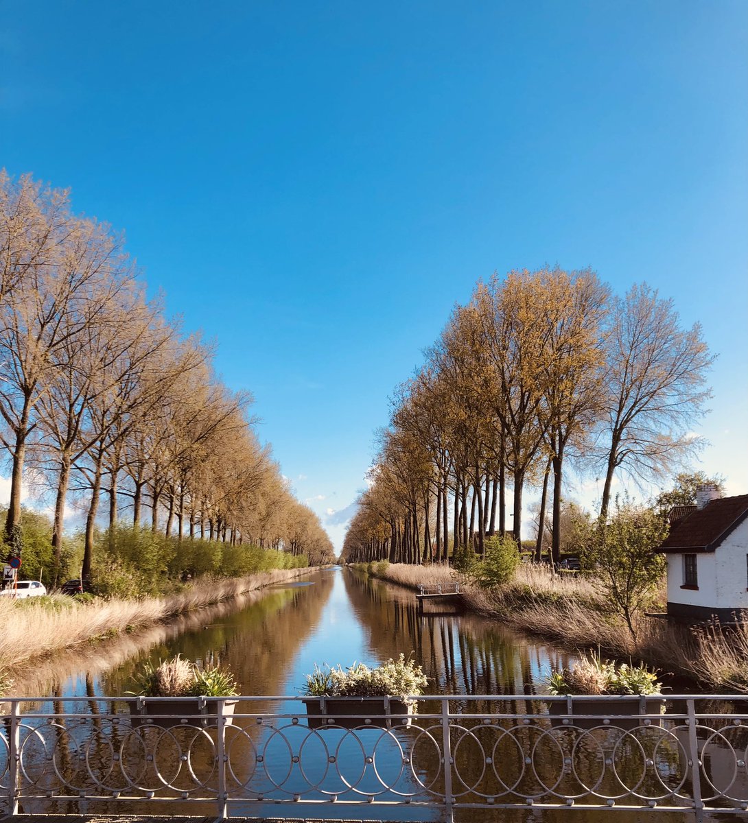 TDesmaele's tweet photo. Zo, een deugddoende 15km gelopen met de zon, doe alweer mijn witte benen mocht aaien. #ochtendloop https://t.co/Y5GUrhHCok