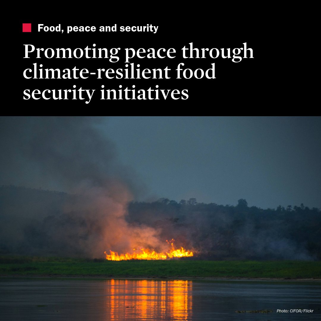 How can the pathways between #FoodInsecurity, #ClimateChange and #conflict be addressed? This report examines strategies to promote peace through climate-resilient food security initiatives. Read more ➡️ doi.org/10.55163/NFAX5…