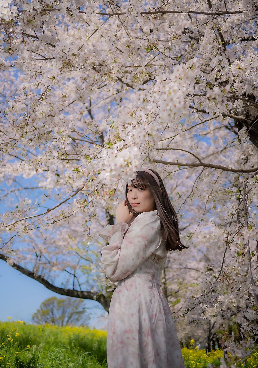 In frame:  天音れい さん
Location: #埼玉県

#桜 #🌸
#portrait #ポートレート
#strobist #ストロビスト
#ファインダー越しの私の世界
#カメラマン #フォトグラファー
#松本市
#出張撮影  #撮影依頼 承ります。