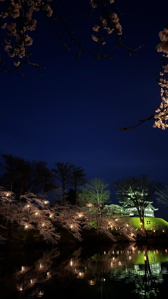 高田城址公園の桜まつり🌸
夜桜も綺麗✨✨✨