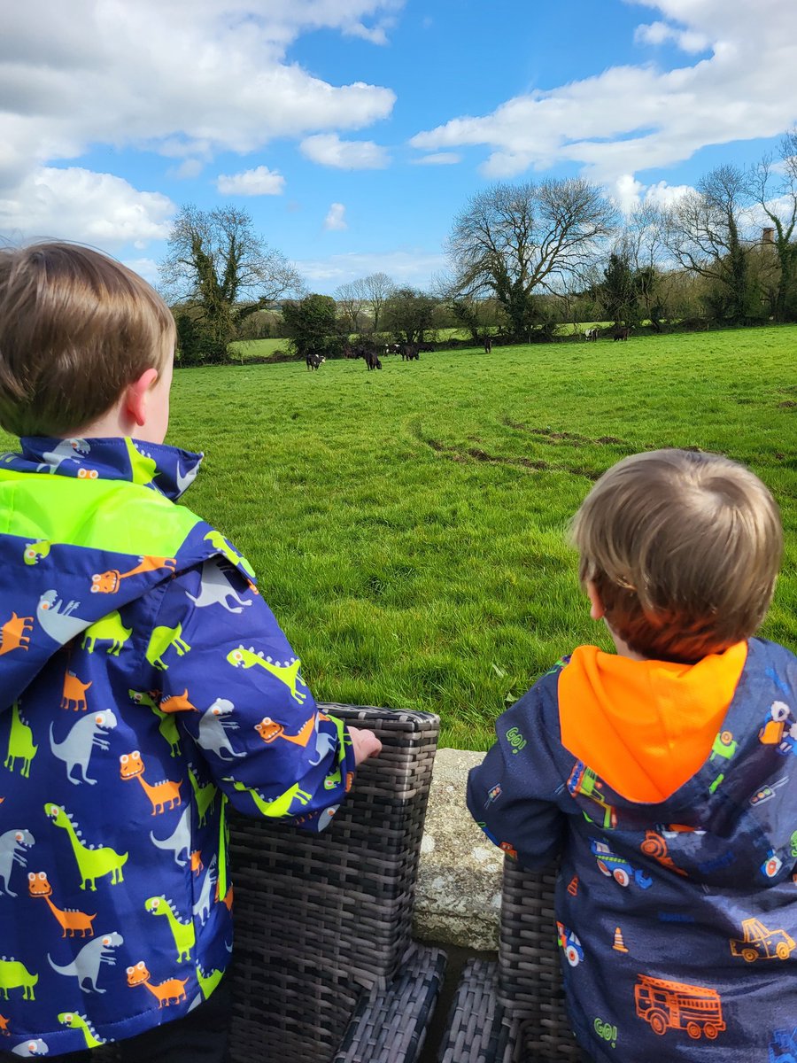 The delights of a fine Spring evening: waiting for passing motorists to Beep (van drivers are best); Exploring the 'bear cave with Grandad'; Checking out the cattle.