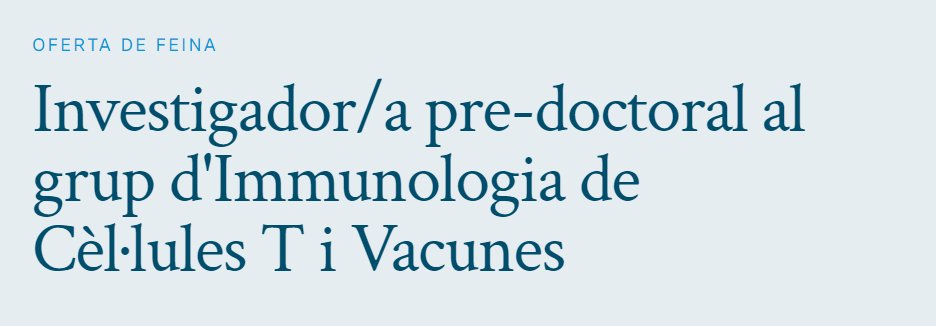 ➡️Oferta de contracte predoctoral al grup d'Immunologia de Cèl·lules T i Vacunes (@IrsiCaixa) 📅Termini obert fins al 30 d'abril de 2024 ➕informació: irsicaixa.es/ca/carrera-cie…