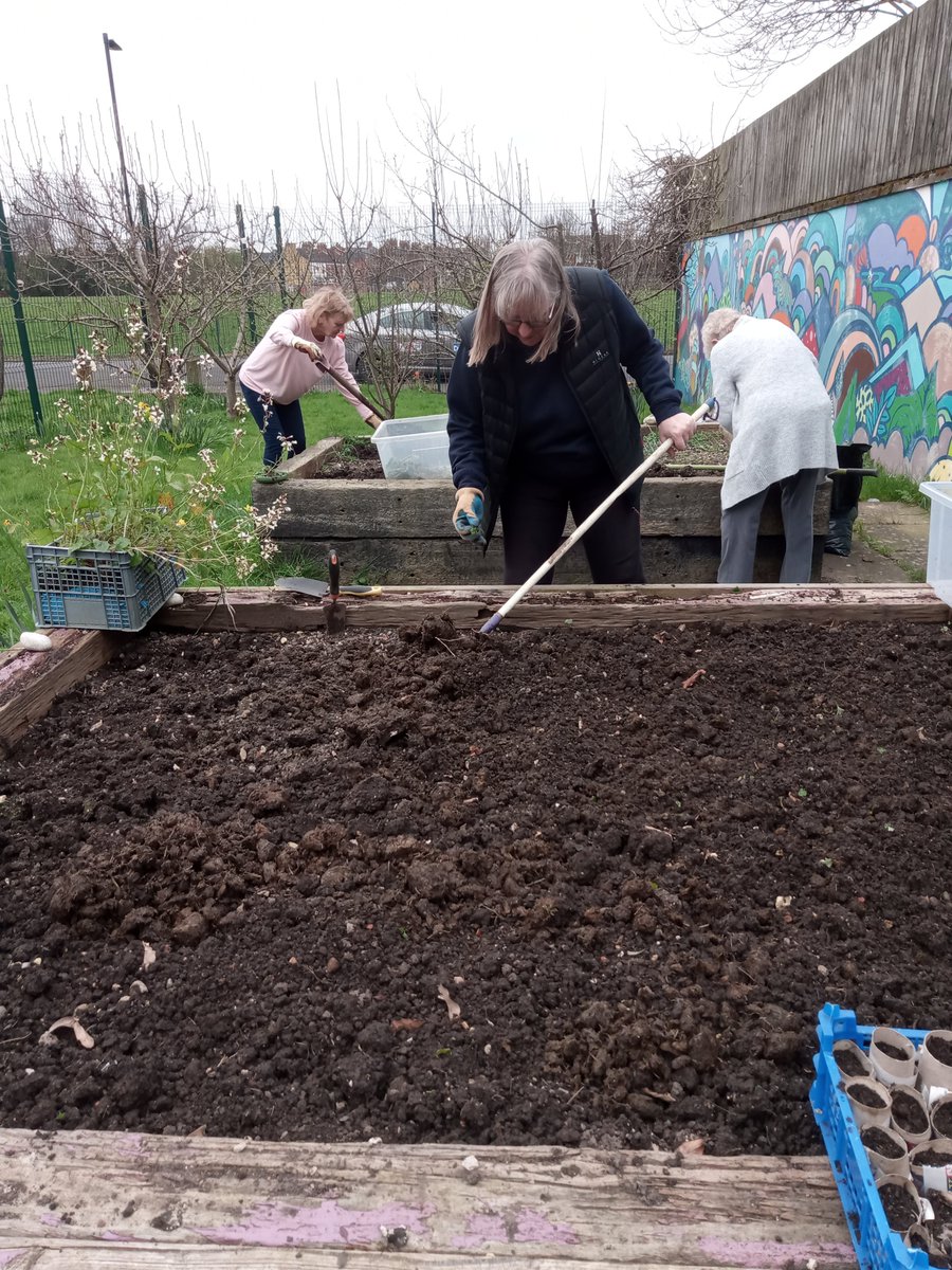 Our amazing volunteer Jane keeping our allotment alive alongside some of our fantastic Monday Gardeners 😁 @McCainUKIE @Hullccnews @TNLComFund @DCMS