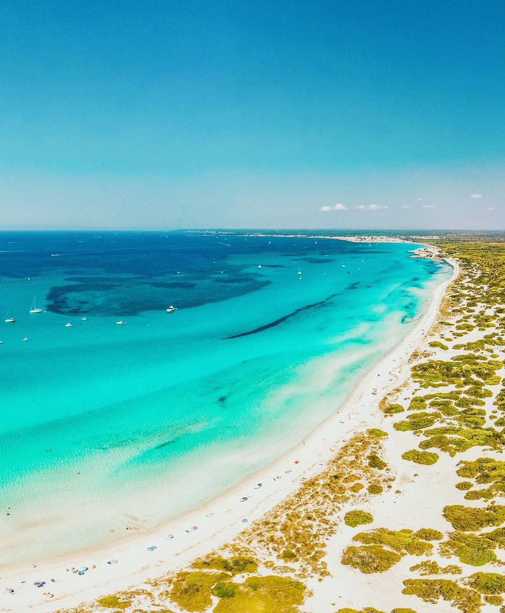 Your daily dose of Es Trenc, because the 'gram can definitely use a little bit of white sand & turquoise waters, right? We share the magic of @hipotels #EsTrenc #beachlife #paradise #islandvibes #oceanlove #hipotels #whitesand #turquoisewaters #vacationmode #islandescape