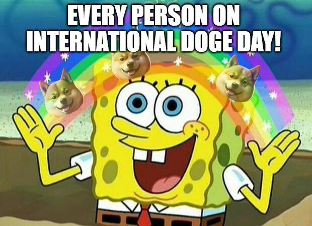 Dogecoin20 tweet media