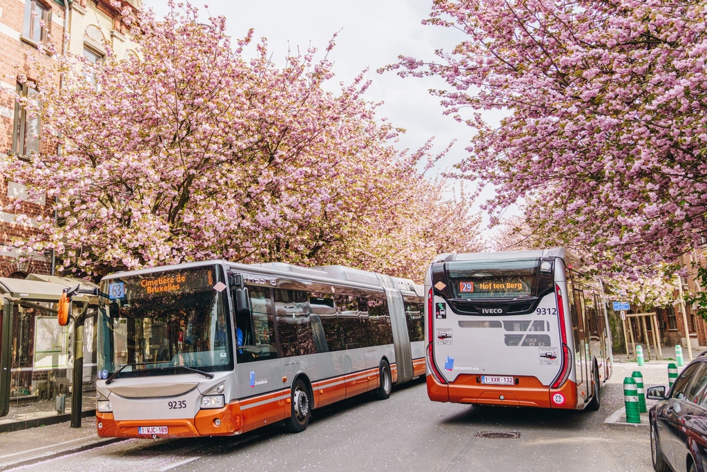Who wore it best? 🌸 63 or 29? -----⁠ 📸 @antony_arnould_official @stibmivb Tag #visitbrussels to be featured⁠ -----⁠ #stibmivb #spring #brussels #bxl #brussel