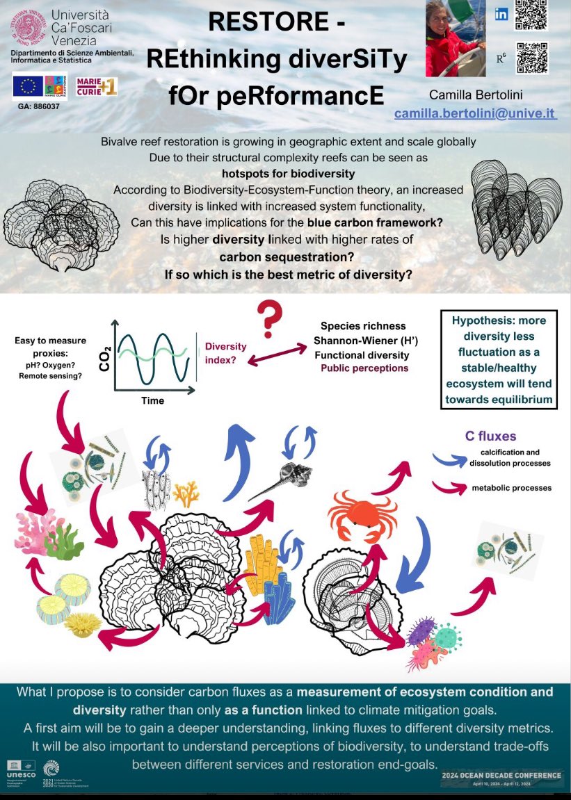 those attending the #UNoceandecade keep an eye out for my poster (if it made it safely, should be on floor 0 code N-DA2)- please ask questions and comments, happy to have a meeting about this! #oceandecade #restorationdecade #biodiversity #carbonfluxes #indicators #oceanscience