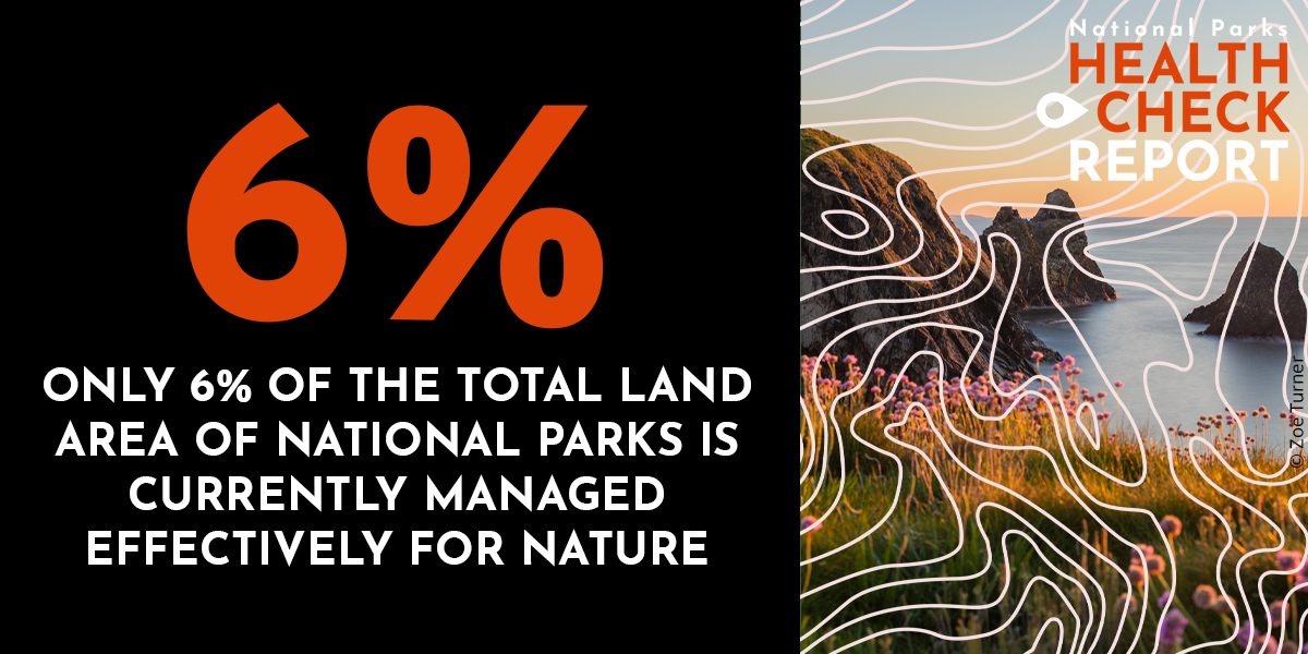 Nature in #NationalParks needs a lifeline, but how did we get here? We’ve been looking at the health of peatland, woodland, freshwater, protected sites and species, and now the results are in... 🧵 #HealthCheckReport 👉 cnp.org.uk/health-check-r…