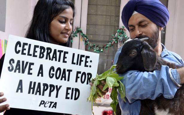 This Eid go vegan and save goats! #EidMubarak