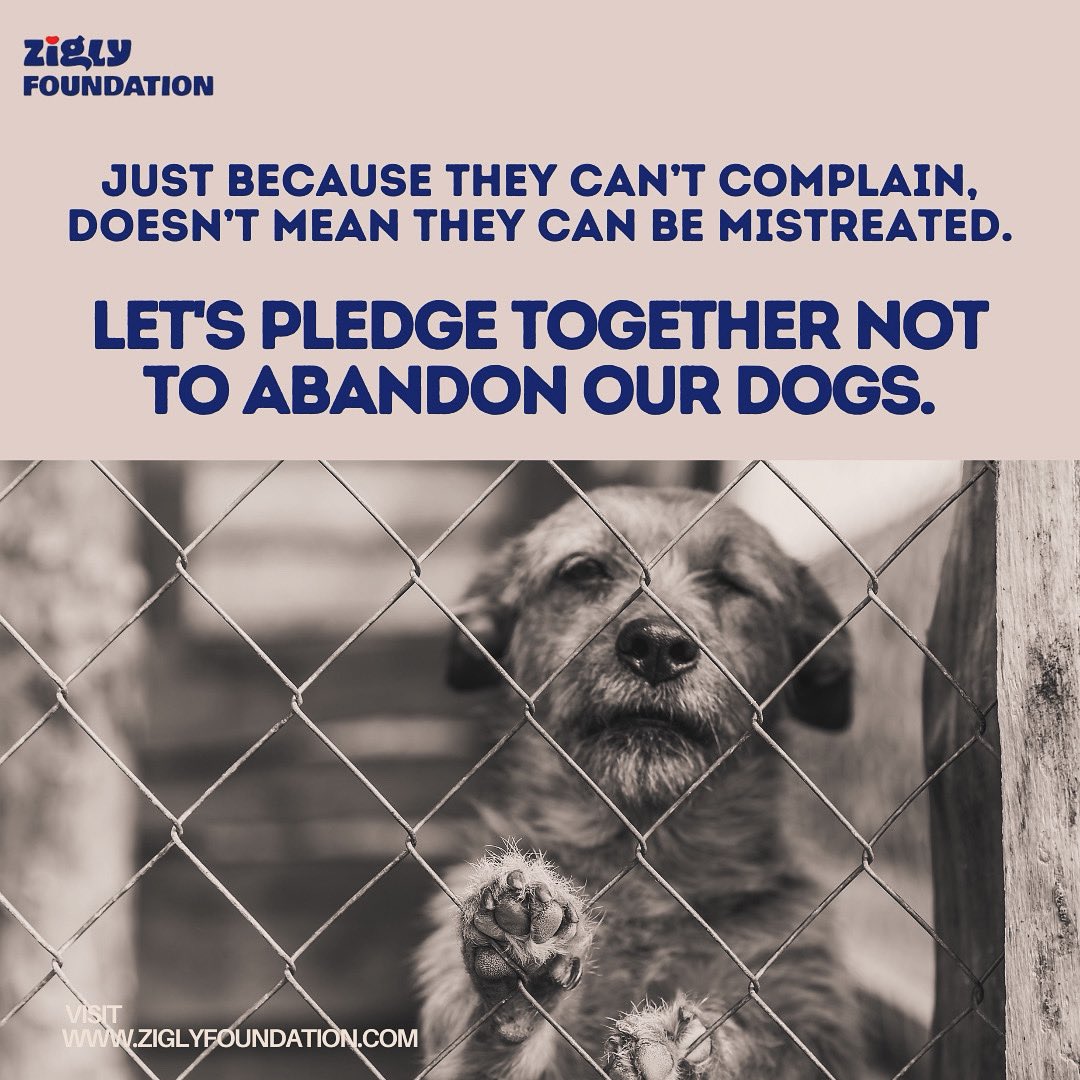 Every voice deserves to be heard, even those who can't speak up. Let's remember that just because someone can't complain, doesn't give us the right to mistreat them. Let's be advocates for compassion and kindness in every interaction. #SpeakUpForTheVoiceless #CompassionMatters