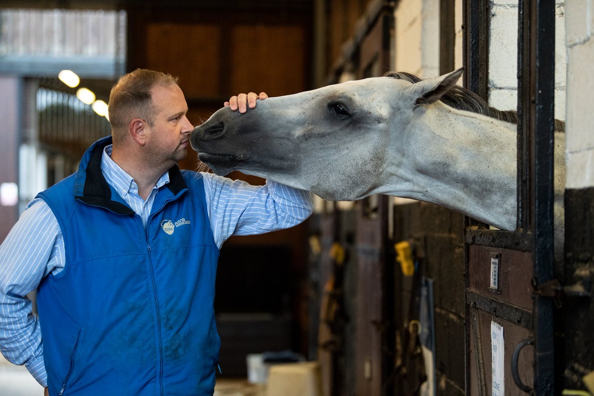 🗣️'He does things in the morning which are out of the ordinary and the day he puts it together he'll be a really nice horse.' Read all about @DavidMenuisier's string in this week's @RPWeekender