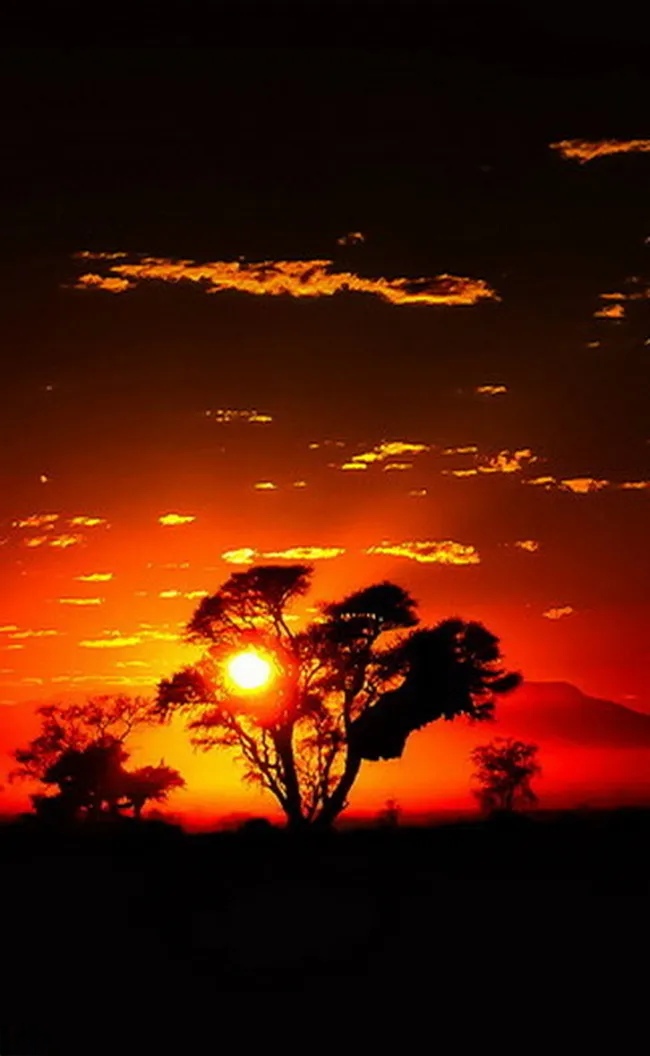 Beautiful sunset glow❤️🌄 #Goodevening #NaturePhotography