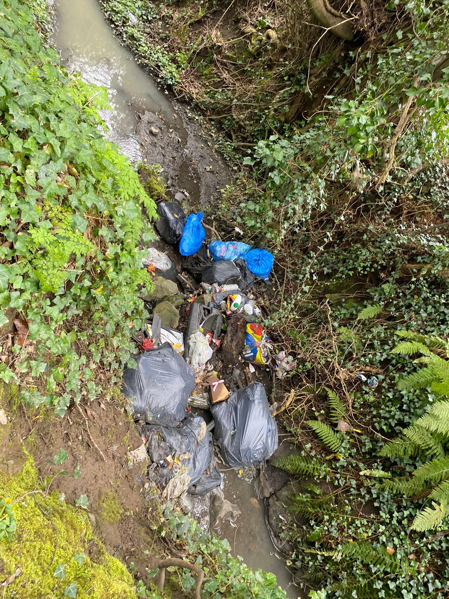 🚯 Reported illegal dumping at The Ramparts, Rathmullen to Meath County Council. Let's keep our environment clean! 🌿 Please report illegal dumping if you see it. Together, we can make a difference. #CleanEnvironment @SavetheBoyne @BoyneRiverTrust