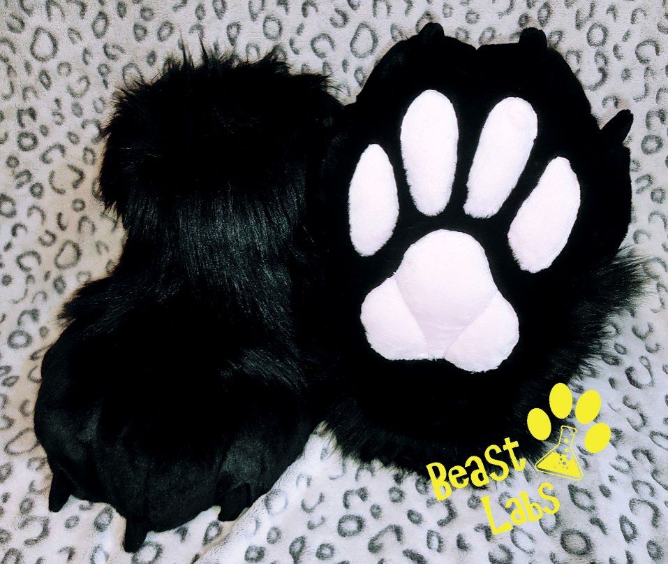 Soft Paws 🥰