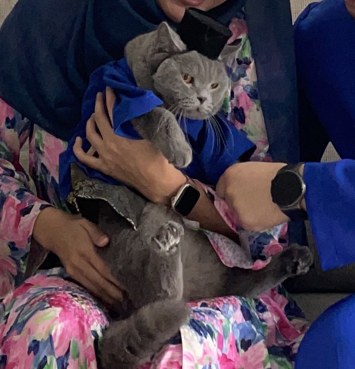tattyhassan's tweet photo. “Cepat lah dorang ni dapat baby yaaaal penat aku jadi mangsa tiap raya” https://t.co/HTPIATOYrn