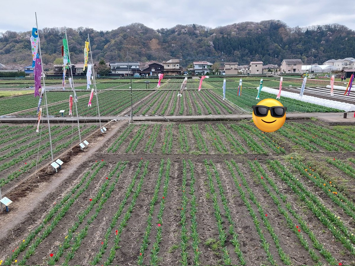 song_read_2nd's tweet photo. 先日はこちらに。 https://t.co/4zBd0YBOsM