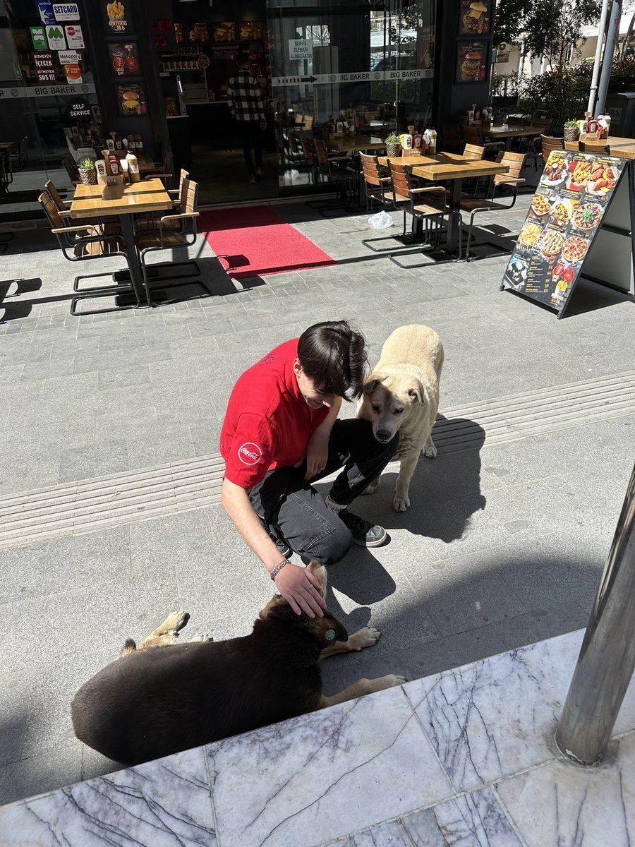 Bayramın ilk günü izmir’de 2 yaşlı köpeği seven bir kardeşimiz. Üçü de çok mutlu. Biraz sohbet ettik. “Ben 6 aydır buradayım ama Pakize 9 yıldır buradaymış, herkes onu tanıyor” dedi. Birileri bu hayvanları öldürmeyi siyasi vaat olarak sunuyor. Tek amacı insanların değerli…