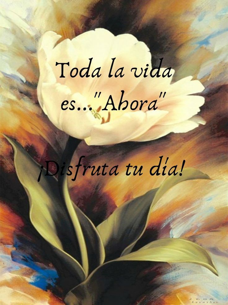 Se alguien sencillo. Sé algo que ames y entiendas. Olvídate del resto, todo lo que necesitas está en tu alma... y en tu corazón... Buenos días 🌹💋🙏 Bendecido Miércoles 🌹❤️🙏