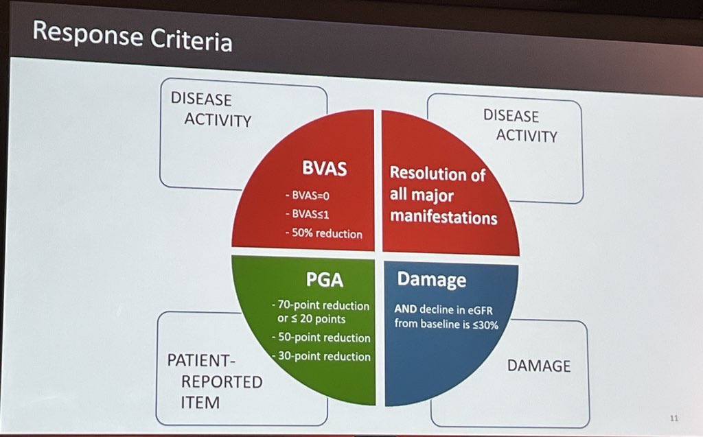 KlapaSebastian's tweet photo. The future tool to evaluate remission induction in GPA/MPA (just for studies) beyond BVAS💊💉❓❓❓Great talk 🎯@VasculitisBCN24 by Peter Merkel from @Penn and colleagues. 
Let‘s discuss this issue further🫱🏼‍🫲🏽‼️@eular_org @vasculitides @Vasculitis_HL https://t.co/Pdhia1NdVG