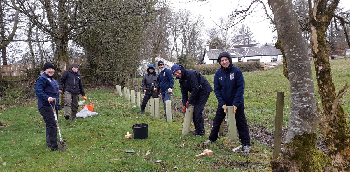 Volunteers with Pollinator Friendly Symington, who are one of our Irvine to Girvan Nectar Network @Nectar_Network members, have been recognised with a motion in the @ScotParl by @ElenaWhitham. ayradvertiser.com/news/24241972.… #pollinators #wildflowers 📸© Lynne Bates, hedge planting